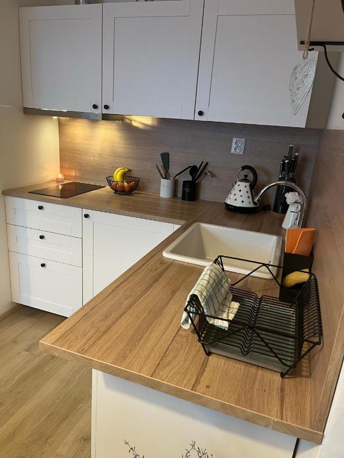 Utulny Apartman Na Dolni Morave Dolní Morava Dış mekan fotoğraf