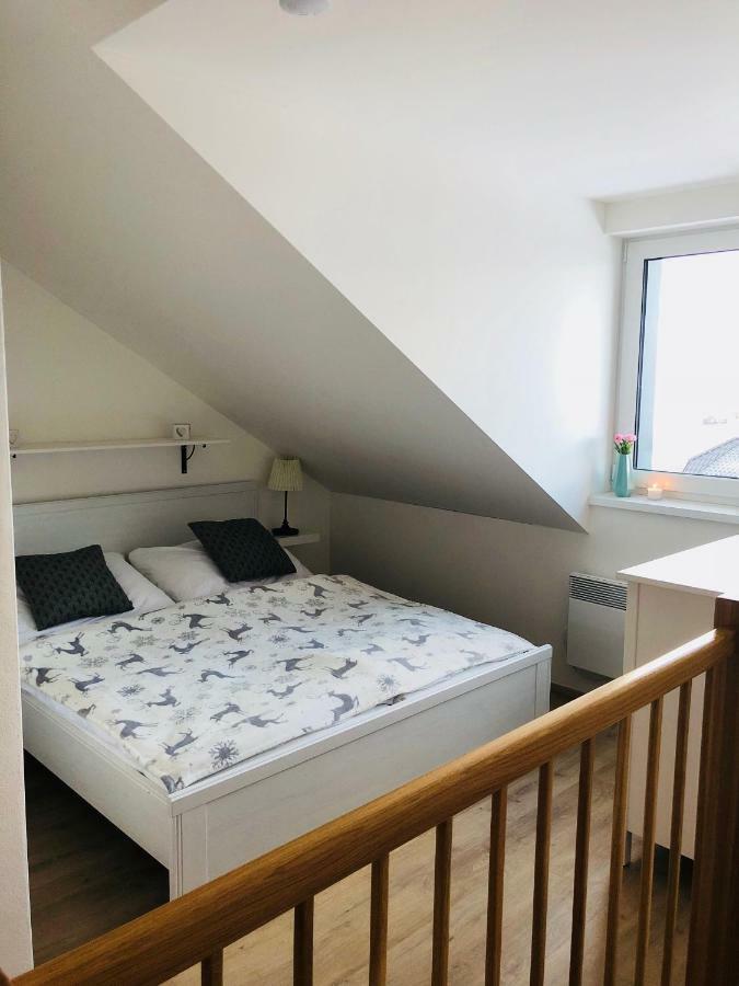 Utulny Apartman Na Dolni Morave Dolní Morava Dış mekan fotoğraf